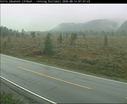 2026-08-14