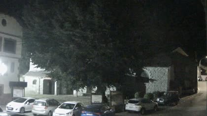 2025-08-05