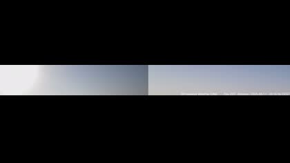 2025-08-11