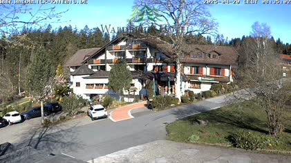 2025-04-20