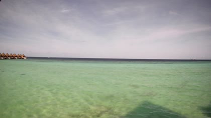 2026-07-13