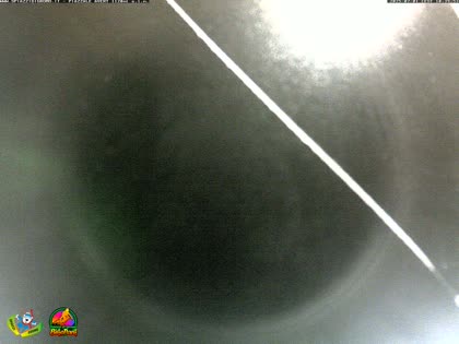 2025-07-02