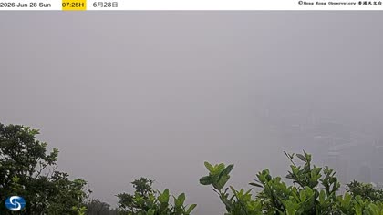 2026-06-28