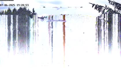 2025-07-06