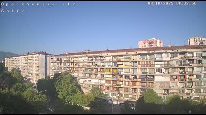 2025-08-10