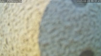 2025-08-20