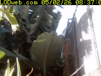 2026-05-02