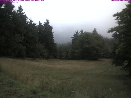 2025-09-03