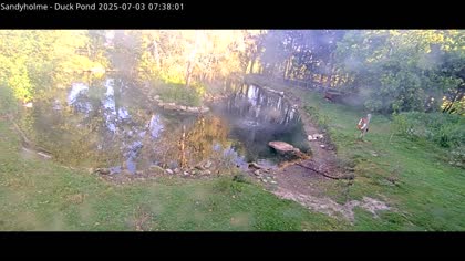2025-07-03