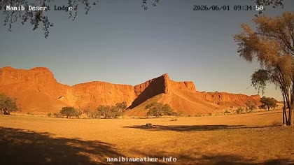 2026-06-01