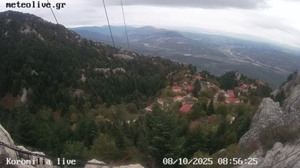 2025-10-08