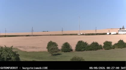 2026-08-08