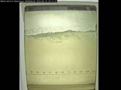2025-09-10