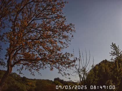 2025-05-09