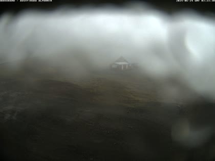 2025-06-24