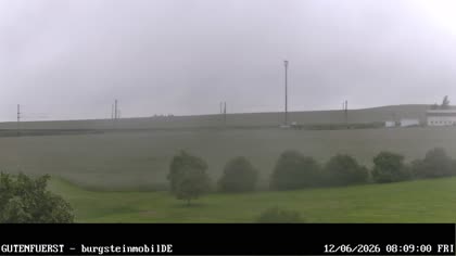 2026-06-12
