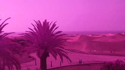 2025-07-29