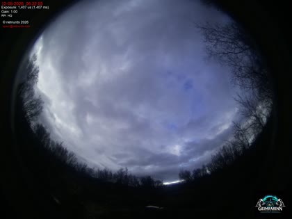 2026-05-12