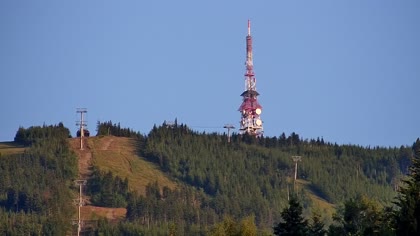 2026-07-24