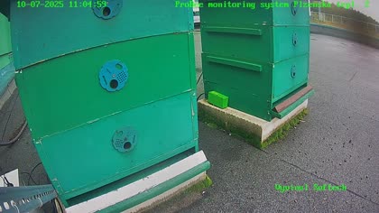 2025-10-08