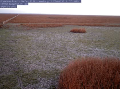 2026-08-12