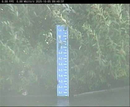 2025-10-05
