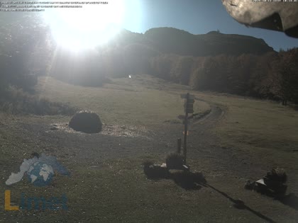 2025-10-11