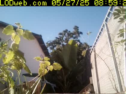 2025-05-27