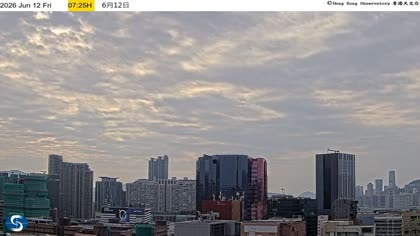 2026-06-12