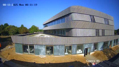2025-08-11