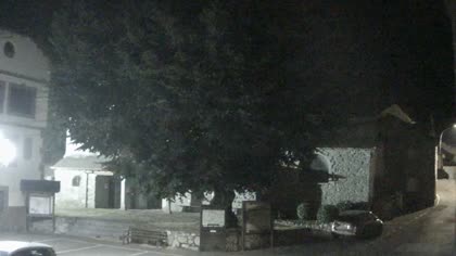 2025-08-19