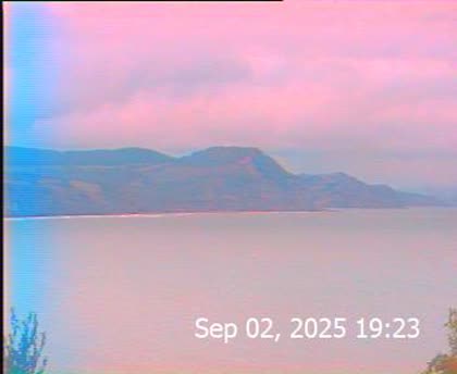 2025-09-03