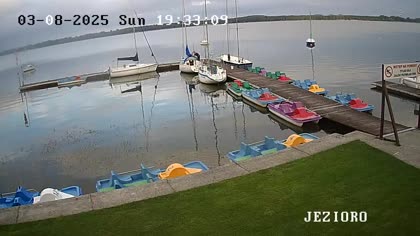 2025-08-03