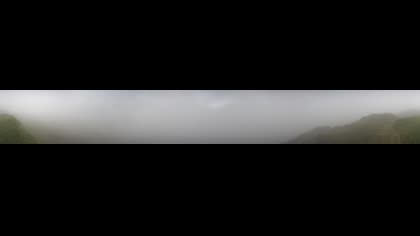 2025-07-25