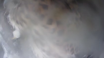 2025-07-04