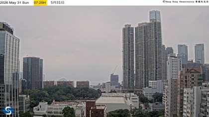 2026-05-31
