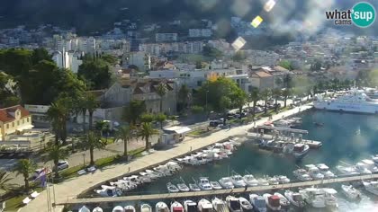 2026-07-10