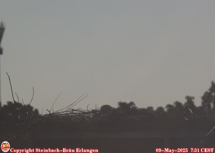 2025-05-09