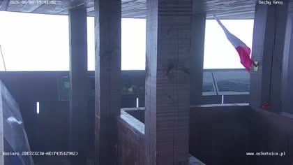 2026-05-08