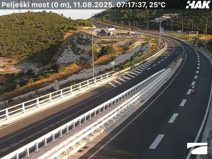 2025-08-11