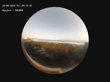 2025-08-22
