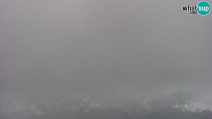 2026-05-15