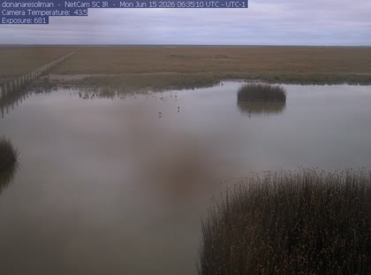 2026-06-15