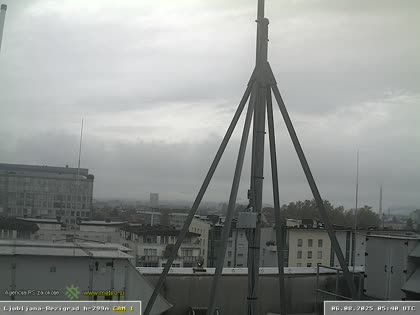 2025-08-06