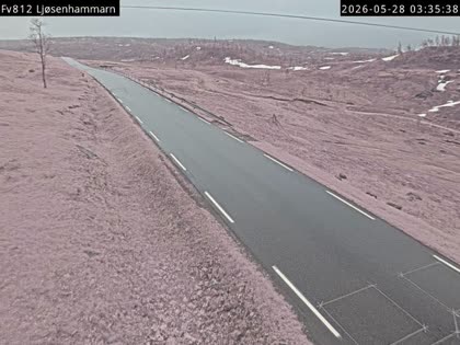 2026-05-28
