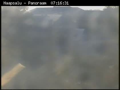 2025-08-09