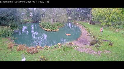2025-09-14