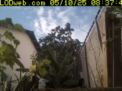 2025-05-10