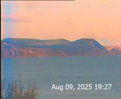 2025-08-10