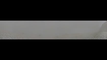 2026-05-15